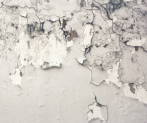 White wall with deterioration and mold.