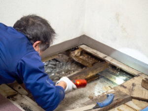 Worker examining the area beneath home flooring.