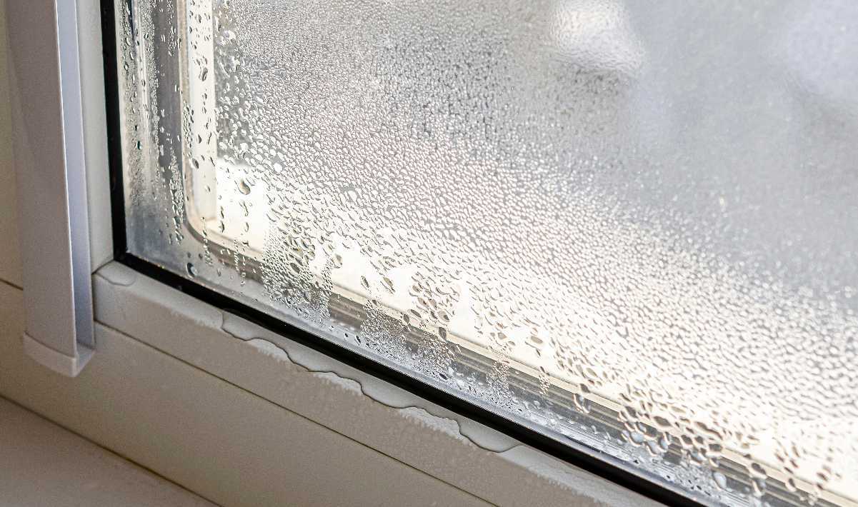 Condensation on a window pane in winter can lead to unwanted mold growth.