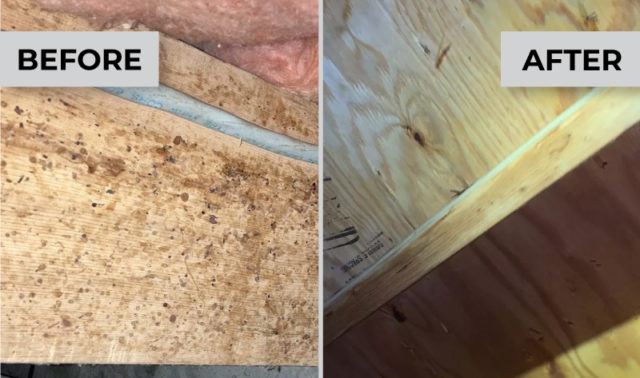 Wooden basement ceiling before and after mold remediation services by East Coast Mold Remediation.