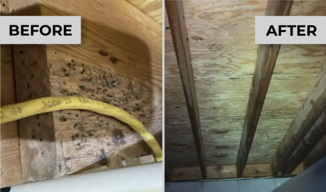 Wooden basement ceiling before and after mold remediation services by East Coast Mold Remediation.