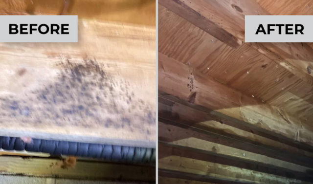Wooden joists before and after mold remediation services by East Coast Mold Remediation.