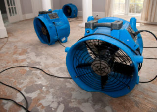 Large blue fans used for commercial drying.